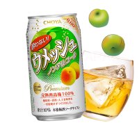 초야 논알콜 우메슈 350ml / 일본 무알콜 논알콜 매실주