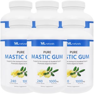 6병 마이라이프 내추럴스 매스틱검 1000mg Mastic Gum 240베지캡슐 24개월분