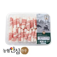 냉동 농협안심한우 차돌박이 300G(팩)/소고기