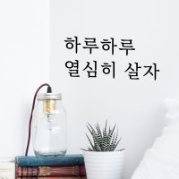 루리앤메리 따뜻한 말 068 하루하루 열심히 살자 감성 레터링 스티커 데코스티커