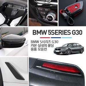 BMW 520d 530i G30 튜닝 카본 몰딩 악세사리 모음전