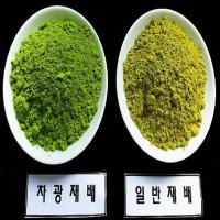 제주산 프리미엄 가루녹차(말차)특300g