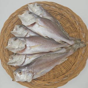 부산 반건조 생선 침조기 긴가이석태 굴비 조기 반찬용 제수용