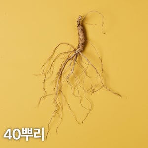 5,6년근 산양산삼 40뿌리 산양삼 장뇌삼