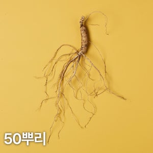 5,6년근 산양산삼 50뿌리 산양삼 장뇌삼