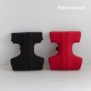 발란스코드 카이로프랙틱쿠션D 1+1 자동차 허리 차량용 등받이 여행용