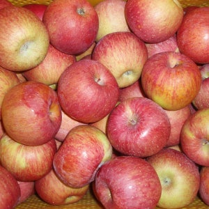 주왕산 털보네 맛있는 꿀부사 대중소 혼합