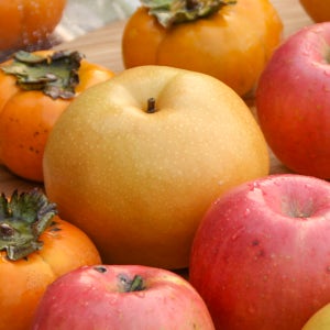 유기농 배 가정용 5k 열린농원 화산 원황 신화 추황 신고