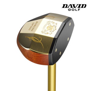 데이비드 감나무 프리미엄 파크골프채 DP300 클럽 MEN 파크볼채