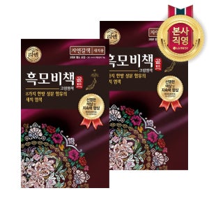 리엔 흑모비책 골드 염색약 90g 자연갈색 x 2개