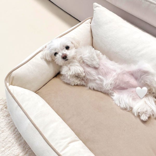 강아지 방석 고양이 커버분리 애견 쿠션 마약 대형견 뉴파스텔 방석 M