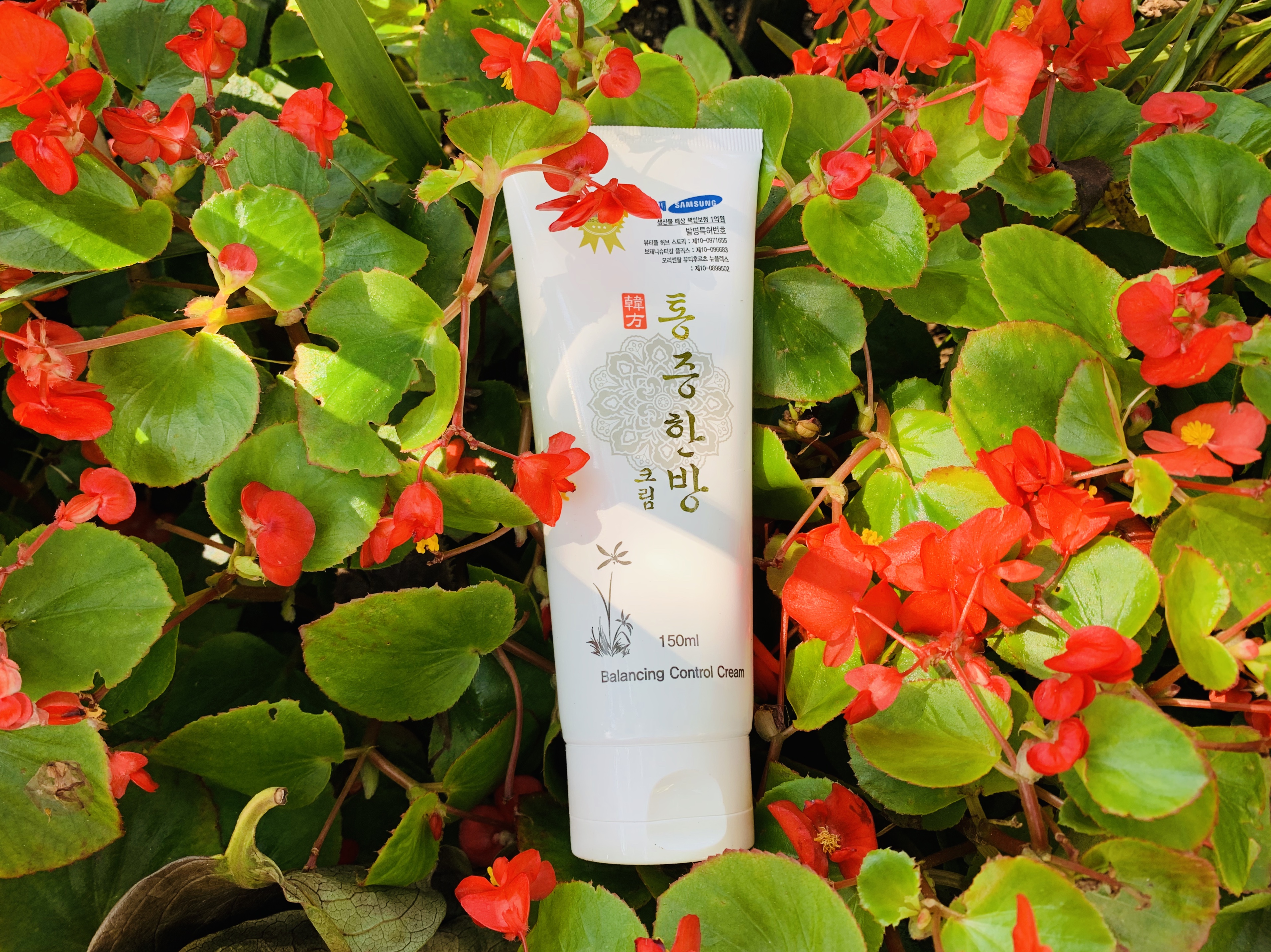 통증크림 관절 허리 근육통 바르는 파스 150ml 5개