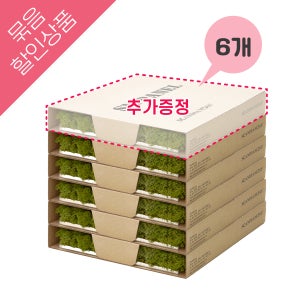 [5+1] 스칸디아모스 패널 천연이끼 벽면녹화 시공 자재 인테리어 마감재 조경 아트월