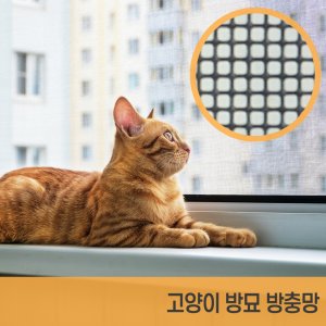 고양이안전문 최저가 가성비상품