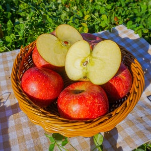 청송 사과 껍질째 먹는 부사 꿀 사과 햇사과 3kg 청다한