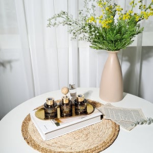 브리즈브링 고급 차량용 방향제 선물용 자동차 디퓨저