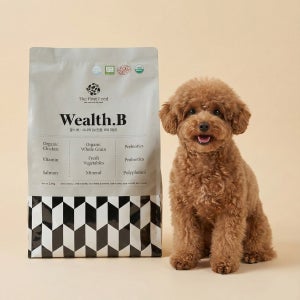 웰스비 시니어 2.4kg 가수분해 저알러지 오가닉 노견 사료