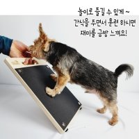 강아지발톱갈이 애견 강아지 발톱 깎기 스크래쳐