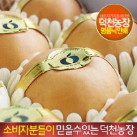 산지배송 덕천농장 명품 낙안 배 5kg 명절 제수용 선물용 전라남도 순천