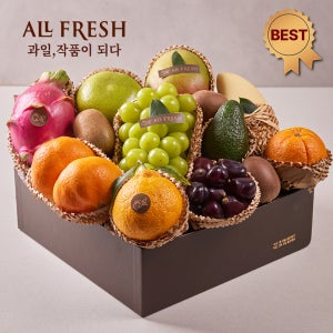 프리미엄 과일선물세트 12종 에코그린 5호(샤인머스켓, 한라봉 외) 4.6kg 이상