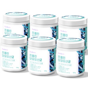퍼펙토 프롤린 모유유산균 락토바실러스 온가족 대용량 유산균 (용기) 120g, 6개