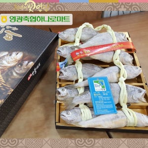 국내산 법성포 영광굴비 참굴비 조기 굴비 선물세트 고급형