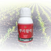 뿌리 발근 뿌리활력 250ml/비료 루핸스 루톤 땅부자 규산 잘자람