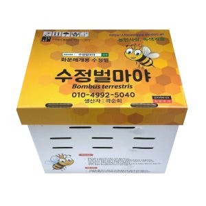 수정벌 수정벌마야 호박벌 뒤영벌