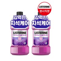 [토탈 솔루션] 리스테린 토탈케어 플러스 250mL x2개