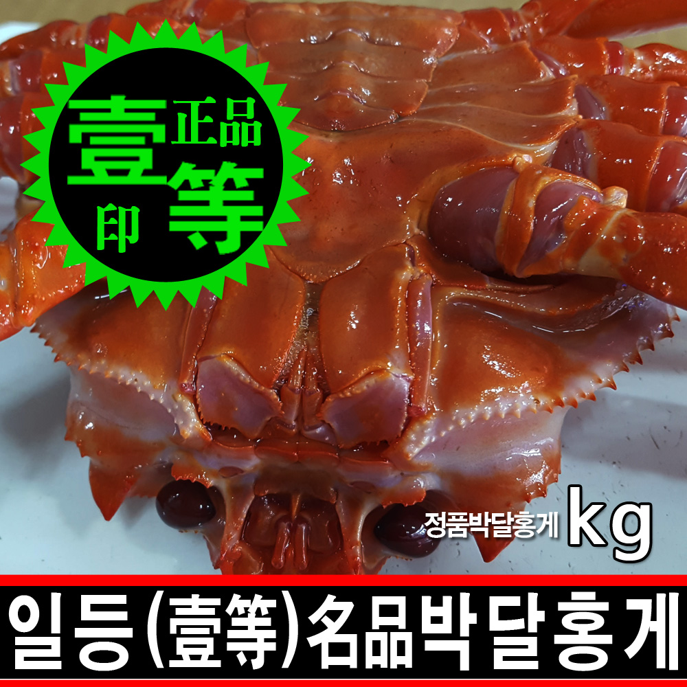 동해안붉은대게 이미지