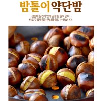 에어프라이어밤 시세 줍기 따기 체험 생율밤 단밤 생밤 약밤 군밤 칼집밤