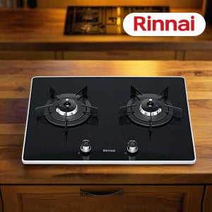 린나이 빌트인 2구 가스렌지 매립형 도시가스 쿡탑 RBR-P2501D