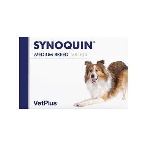 (DOG)벳플러스 사이노퀸 중형견용 SYNOQUIN EFA 중형견용관절영양제(30정)