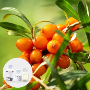 향료 벅손베리향 BUCKTHORNBERRY FLAVOR 30G-80G