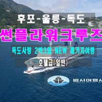 울릉도 크루즈여행 2박3일 독도사랑패키지-호텔급