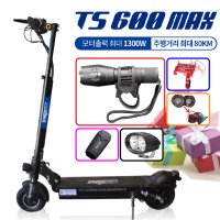 대리기사 전동킥보드(프리고다이렉트 유로휠 TS600max 52V 24ah)