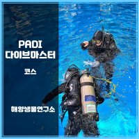 [해양생물연구소] PADI 다이브마스터 코스 (대전 유성구 서구 대덕구)