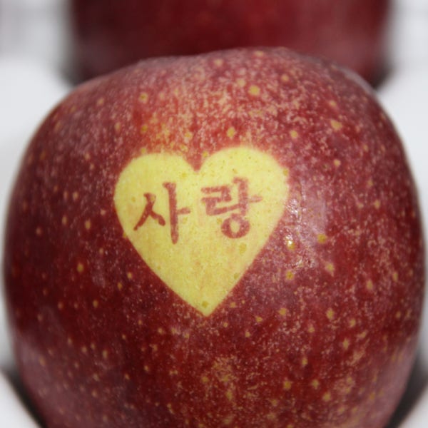 문경 감홍 사과 찬미네농원 산지직송 꿀 사과 5kg