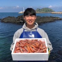 산지직송 제주도 자연산 프리미엄 딱새우 1kg 대사이즈 딱새우회