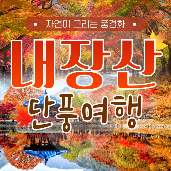 KTX 2026년 가을 단풍 내장산 당일여행 국내 기차 패키지 (뚜벅이 트래킹 단체)