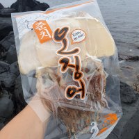 제주도 자연 해풍에 말린 반건조 오징어 준치 한치 (대) 10마리, (중) 10마리