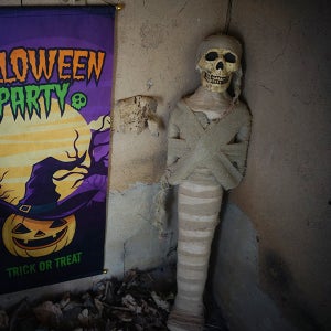미이라 모형 / 해골 모형 할로윈 데이 소품 파는곳 할로윈 데코 인테리어 소품 유령의집 대형 장식