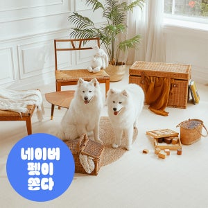 리포소펫 강아지매트 미끄럼방지 애견 반려견 거실 복도 셀프시공 롤매트 6T 110X50cm