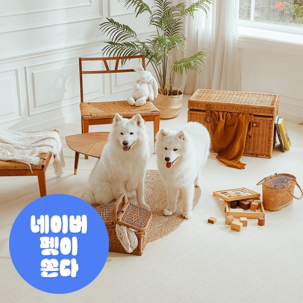 리포소펫 강아지매트 미끄럼방지 애견 반려견 거실 복도 셀프시공 롤매트 6T 110X50cm