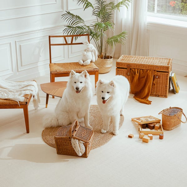 리포소펫 강아지매트 미끄럼방지 애견 반려견 거실 복도 셀프시공 롤매트 6T 110X50cm