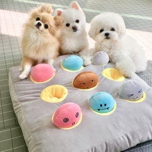 더플래 두더지 강아지 노즈워크 장난감