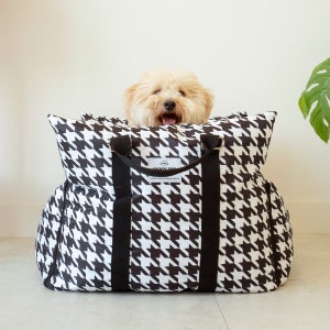 세븐펫 강아지 고양이 구름 카시트