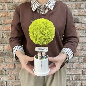 스칸디아모스 토피어리 화분 30cm 승진 개업 집들이 화분 영전 선물