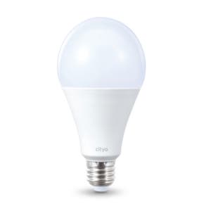 씨티오 LED 전구 20W 주광 벌브 E26 고와트