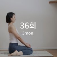 [요가 더원] 정규멤버쉽 3개월 주3회 (36회) 서울 중구 요가원 / 황학동요가